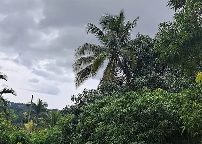 - Hillside Retreat * Montego Bay